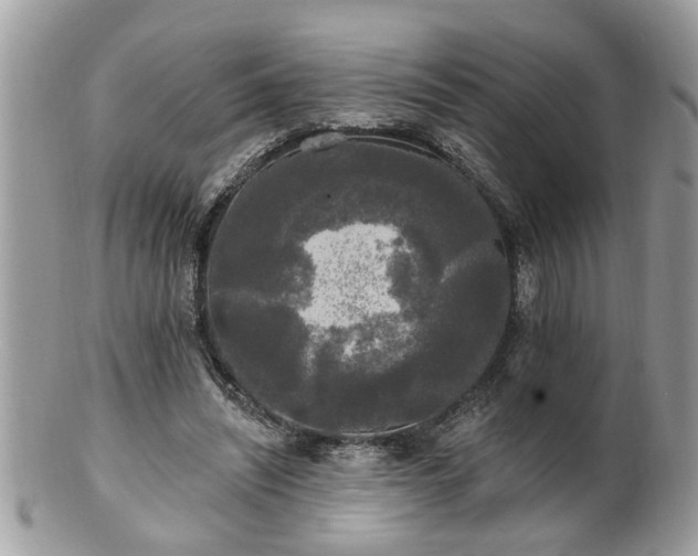 X0000100970444200807011424