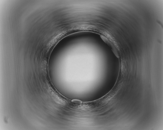 X0000100970445200807011424