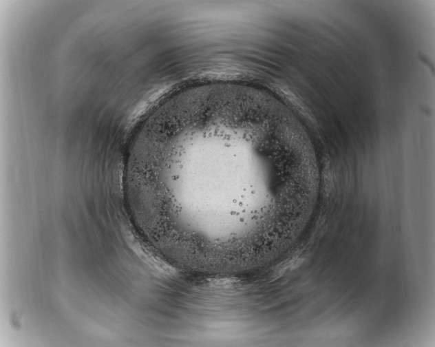 X0000100970446200807011424