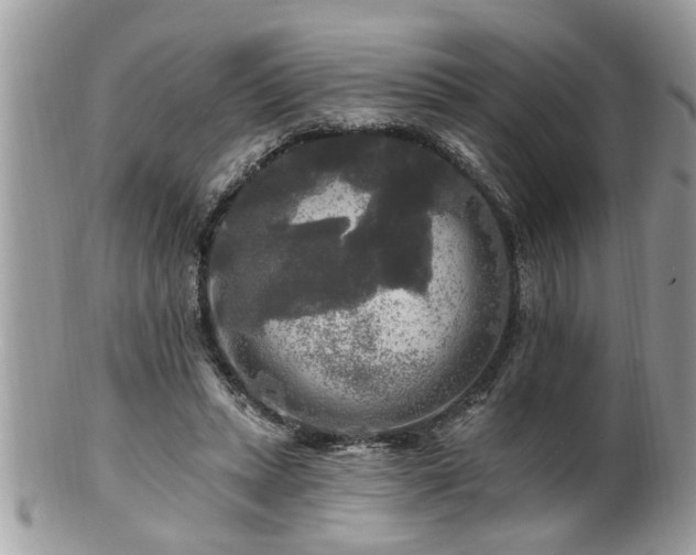 X0000100970447200807011424
