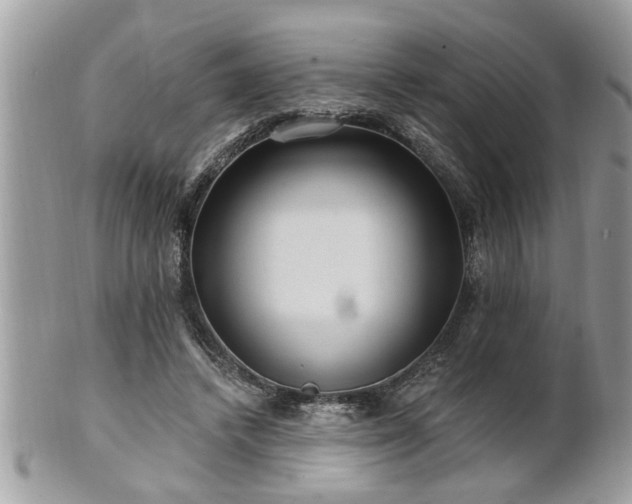 X0000100970448200807011424