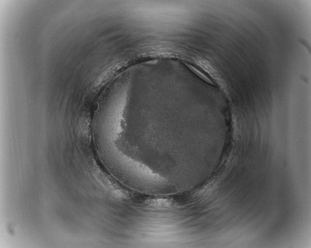 X0000100970449200807011424