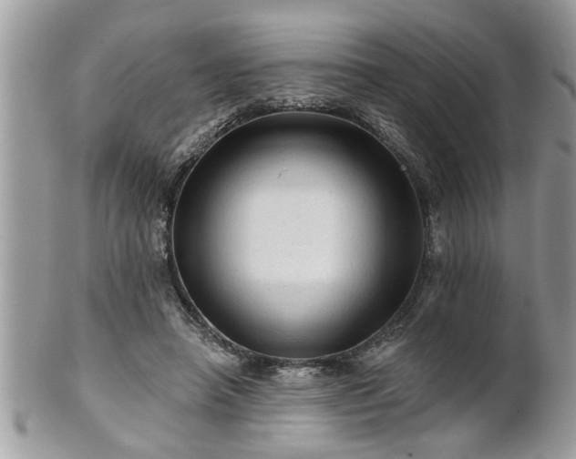 X0000100970450200807011424