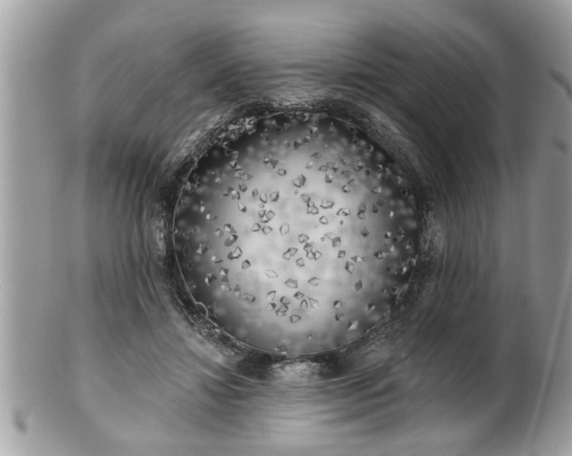 X0000100970452200807011424