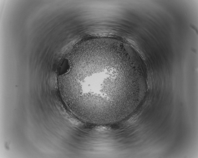 X0000100970453200807011424