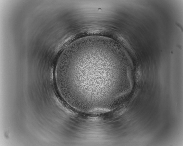 X0000100970454200807011424