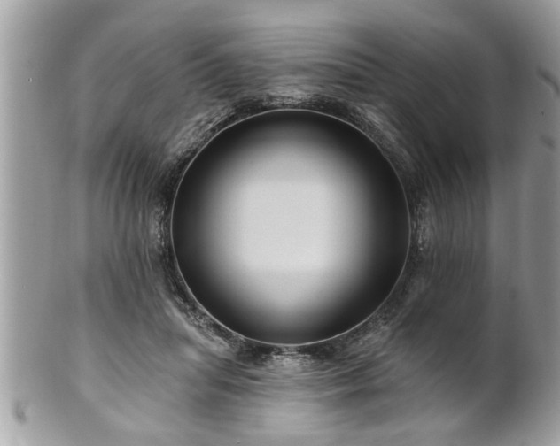 X0000100970455200807011424