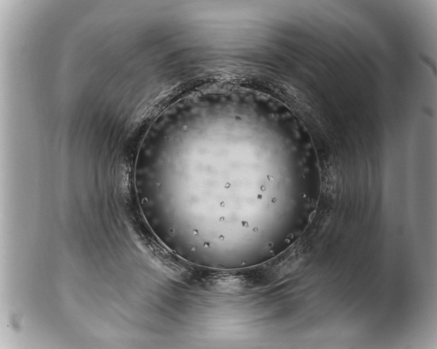 X0000100970456200807011424