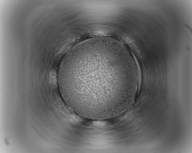 X0000100970457200807011424