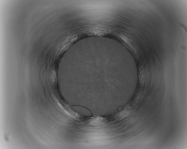 X0000100970459200807011424