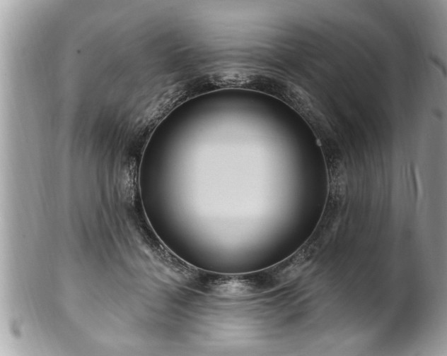 X0000100970460200807011424