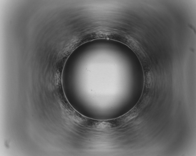 X0000100970463200807011424