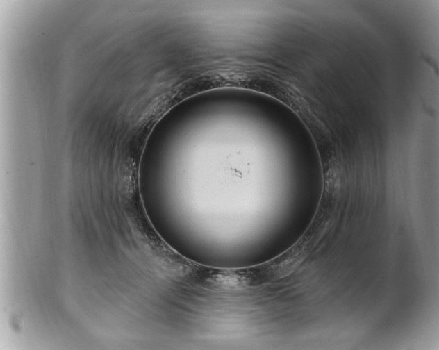 X0000100970464200807011424