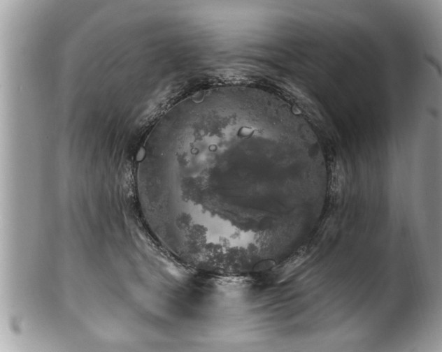 X0000100970465200807011424
