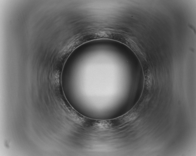 X0000100970466200807011424