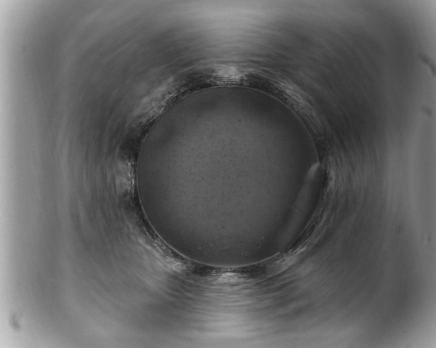 X0000100970467200807011424