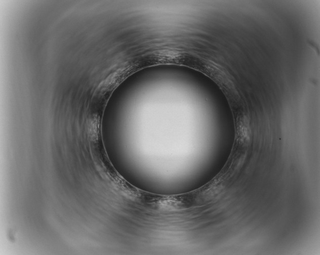 X0000100970468200807011424