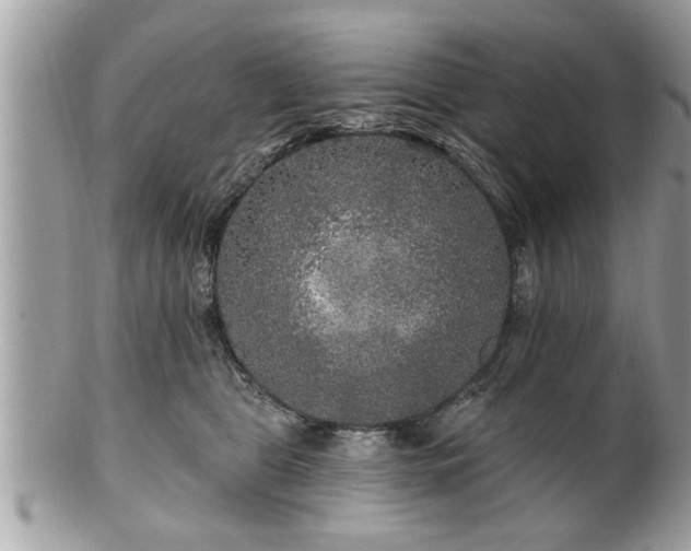X0000100970469200807011424