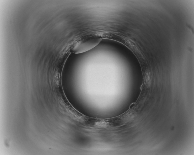 X0000100970470200807011424