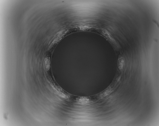 X0000100970471200807011424