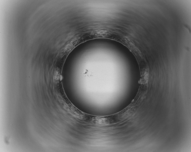 X0000100970472200807011424
