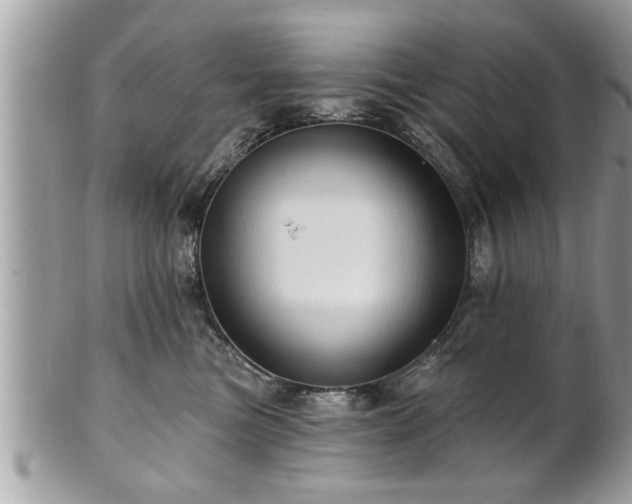 X0000100970473200807011424