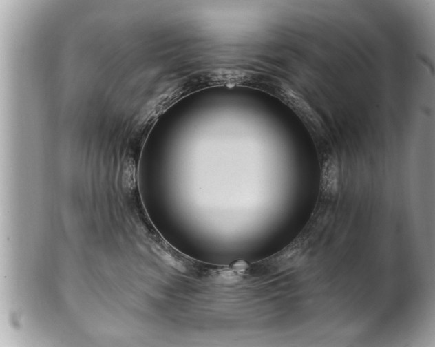 X0000100970474200807011424
