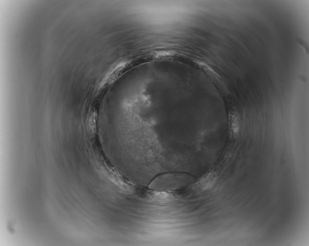 X0000100970475200807011424