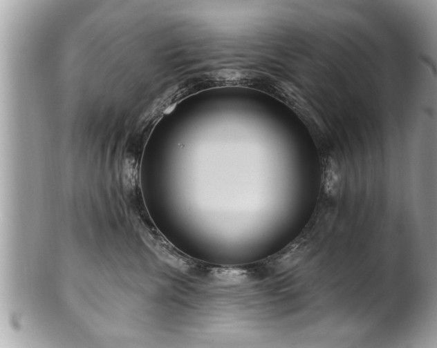 X0000100970476200807011424