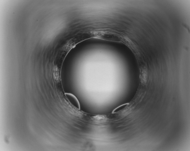X0000100970477200807011424