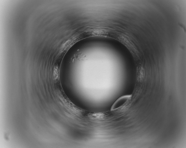 X0000100970478200807011424