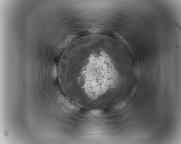 X0000100970479200807011424
