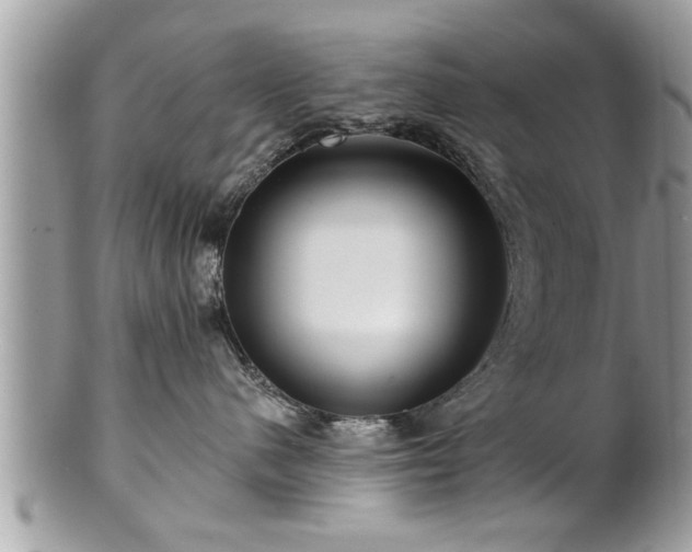 X0000100970480200807011424