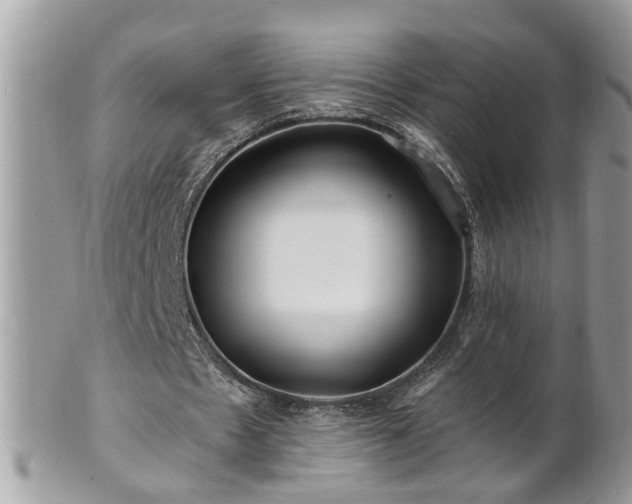 X0000100970481200807011424