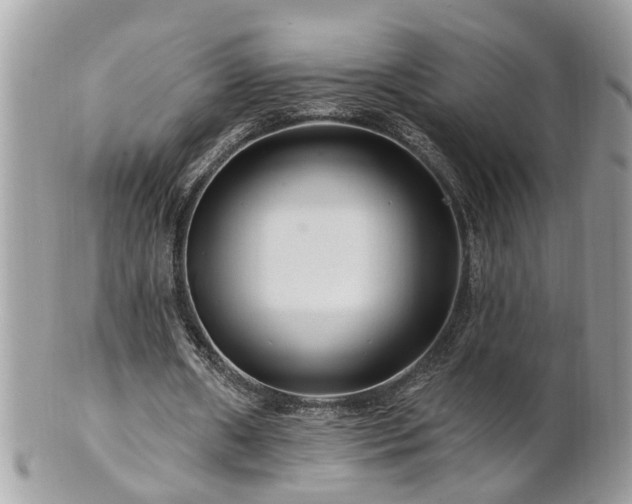 X0000100970482200807011424