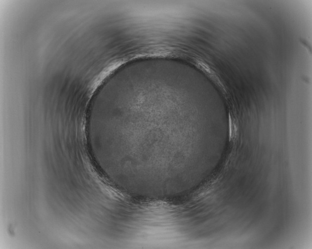 X0000100970483200807011424