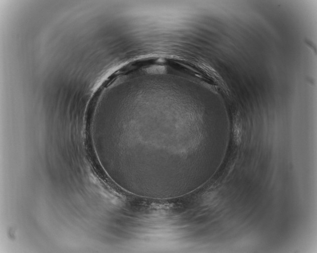 X0000100970484200807011424
