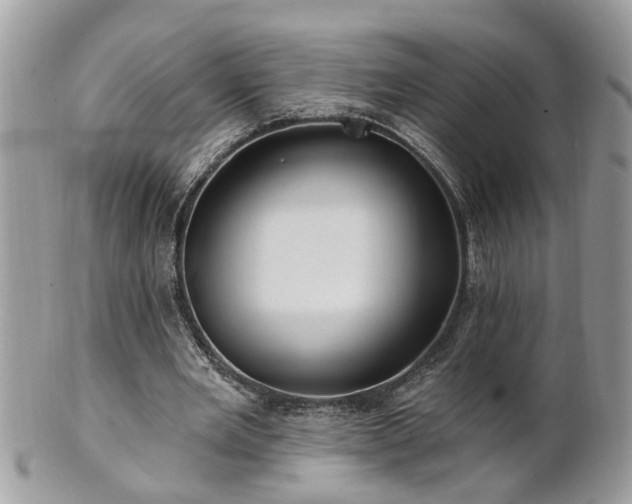 X0000100970485200807011424