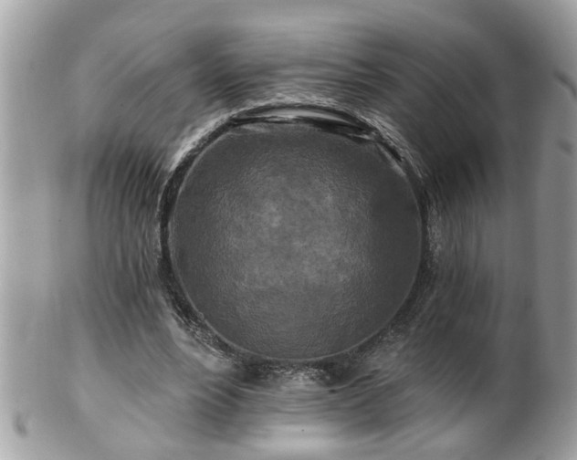 X0000100970488200807011424