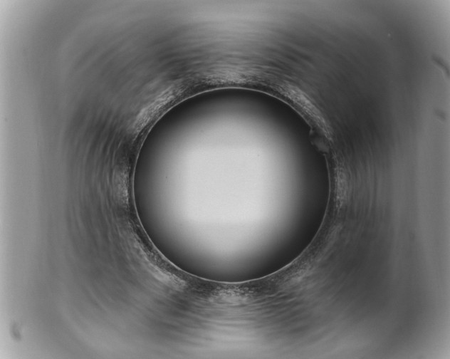 X0000100970489200807011424