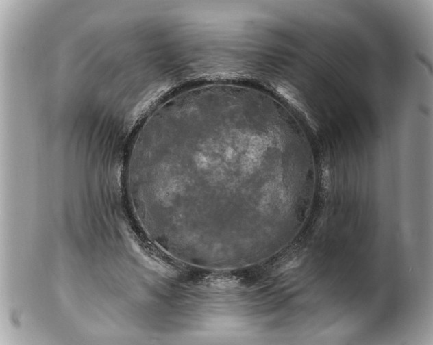X0000100970491200807011424