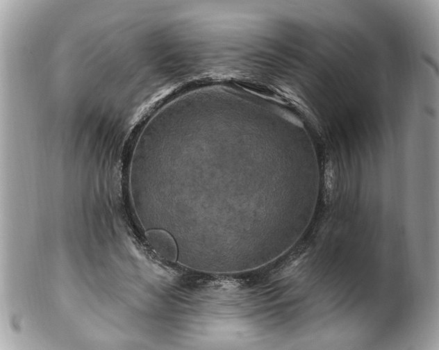 X0000100970492200807011424