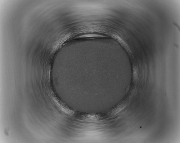 X0000100970493200807011424