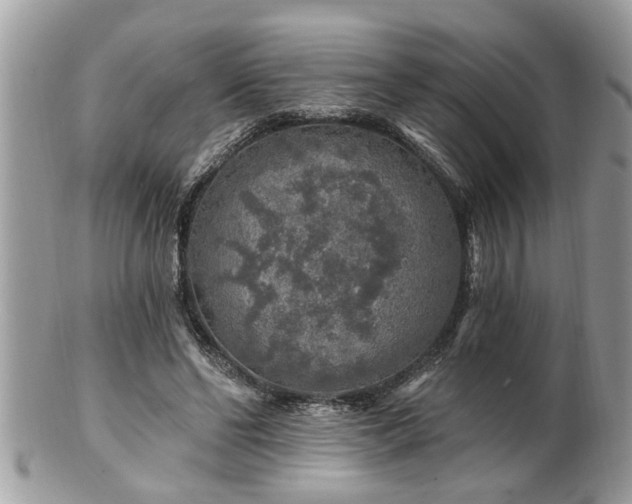 X0000100970494200807011424