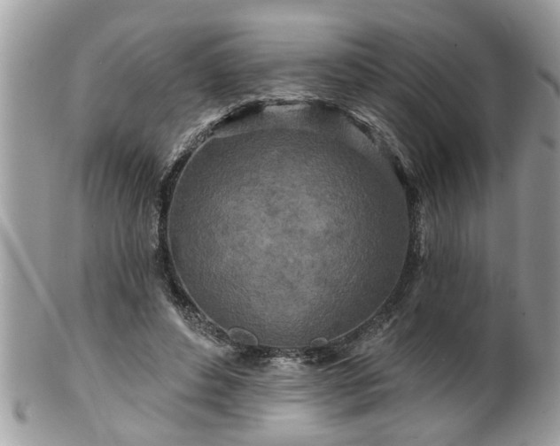 X0000100970496200807011424