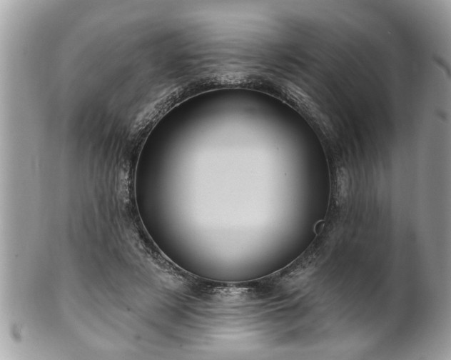 X0000100970497200807011424