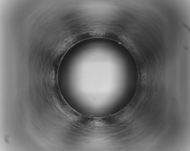 X0000100970498200807011424