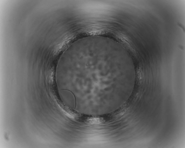 X0000100970499200807011424