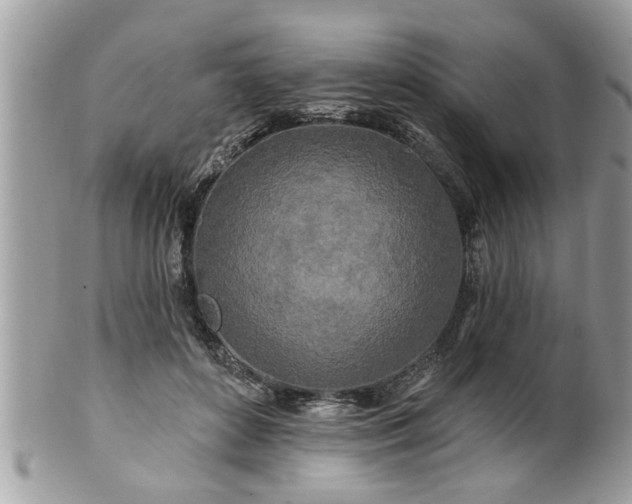 X0000100970504200807011423