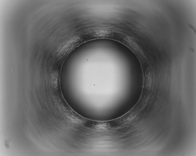 X0000100970505200807011423